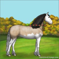 Horse Color:Bay Roan Dun Splash 