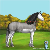 Horse Color:Grullo Ice Roan Splash 