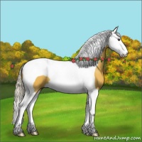 Horse Color:Silver Buckskin Splash Tobiano