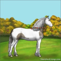 Horse Color:Smoky Grullo Roan Splash Tobiano 