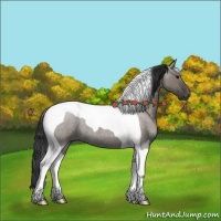 Horse Color:Grullo Roan Tobiano 