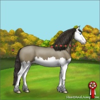 Horse Color:Smoky Grullo Roan Splash 