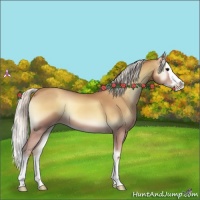 Horse Color:Silver Classic Champagne Onyx Splash
