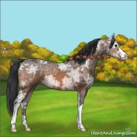 Horse Color:Brown Ice 