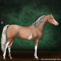 Horse Color:White Spotted Silver Brown Pearl 