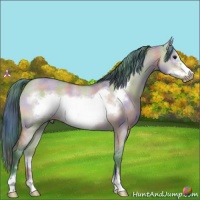 Horse Color:Nacre Watercolor Bay Roan Dun Sabino Frame 