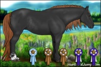 Horse Color:Liver Chestnut Sabino Rabicano