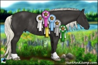 Horse Color:Liver Chestnut Rabicano