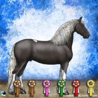 Horse Color:Liver Chestnut Mushroom Tobiano