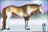 Horse Color:White Spotted Liver Red Onyx