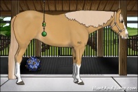 Horse Color:Palomino Roan Splash 