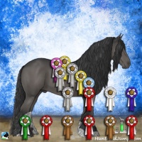 Horse Color:Black 