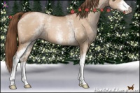 Horse Color:White Spotted Brown Pearl Dun 