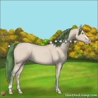 Horse Color:Watercolor Amber Cream Champagne Dun Sabino 