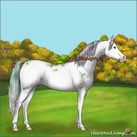 Horse Color:Nacre Plaid Chestnut Sabino Splash Rabicano