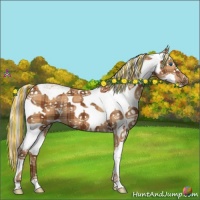 Horse Color:Painted Plaid  Silver Bay Sabino Splash 