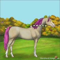 Horse Color:Painted Watercolor Gold Champagne Sabino