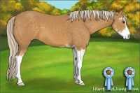 Horse Color:Palomino Sabino