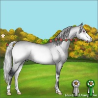 Horse Color:Silver Bay Chinchilla Onyx