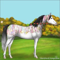Horse Color:Bay Ice Splash 