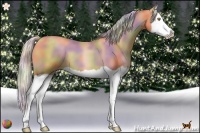 Horse Color:Nacre Silver Bay Pearl Splash