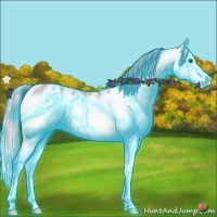 Horse Color:Thunderstruck Watercolor Red Dun Splash Frame Appaloosa 