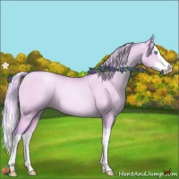Horse Color:Watercolor Silver Amber Champagne Pearl Dun Splash 