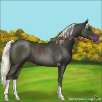 Horse Color:Liver Red Roan Mushroom 