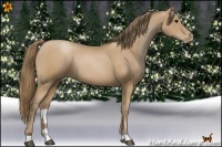 Horse Color:Black Pearl