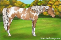 Horse Color:White Spotted Silver Brown Pearl 