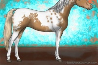 Horse Color:Chestnut Tobiano 