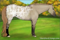 Horse Color:Liver Red Dun Ice 