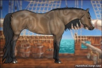 Horse Color:Brown Dun 