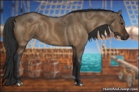 Horse Color:Brown Dun 