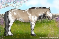Horse Color:Brown Dun Splash Tobiano Brindle 