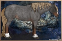 Horse Color:Liver Red Roan Sabino Rabicano 