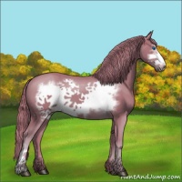 Horse Color:Watercolor Chestnut Frame 