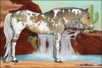 Horse Color:White Spotted Silver Smoky Black