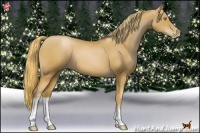 Horse Color:Chestnut Pearl
