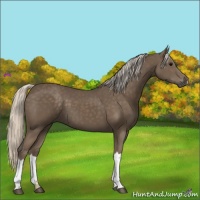 Horse Color:Silver Black 