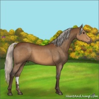 Horse Color:Silver Brown 