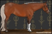 Horse Color:Silver Brown 