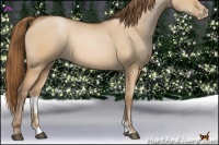 Horse Color:Brown Pearl Dun