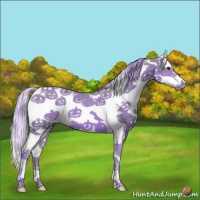 Horse Color:Watercolor Chestnut Sabino Frame 