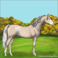 Horse Color:Silver Sable Champagne Ice Dun Splash 