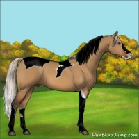 Horse Color:Silver Brown Dun Splash Tobiano