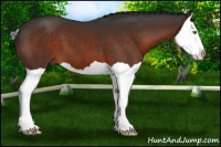 Horse Color:Brown Splash 