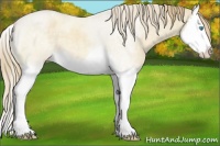 Horse Color:Perlino Roan Dun Splash 