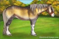 Horse Color:Silver Smoky Blue Onyx Appaloosa