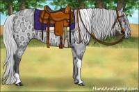 Horse Color:Silver Bay Chinchilla Ice Tobiano Rabicano